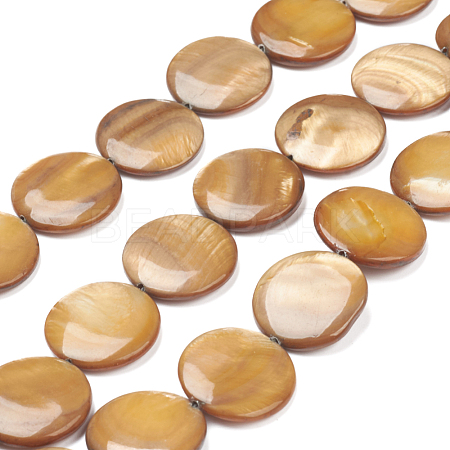 Natural Freshwater Shell Beads BSHE-I011-01A-01-1