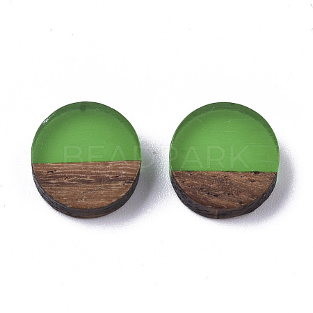 Resin & Wood Cabochons RESI-S358-70-H55-1