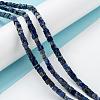 Natural Lapis Lazuli Beads Strands G-F631-K05-4