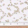 MIYUKI Delica Beads SEED-MY11-DB1766-4