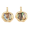 Brass Natural Paua Shell Irregular Pendants KK-I453-01G-01-1