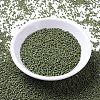 MIYUKI Delica Beads SEED-J020-DB0391-2