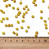 8/0 Opaque Colours Seep Glass Seed Beads SEED-F003-04B-01-4