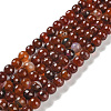 Natural Agate Beads Strands G-M437-B01-01K-2