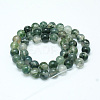 Natural Moss Agate Beads Strands X-G-I199-06-4mm-2