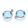 K9 Glass Charms X1-GLAA-T023-37B-04-2