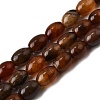 Natural Petrified Wood Beads Strands G-K362-I12-02-2