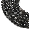 Natural Larvikite Beads Strands G-C280-B06-6mm-4
