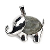 Natural Labradorite Pendants G-G112-01P-06-1