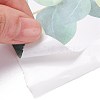 Eucalyptus Bulletin Board Border Stickers Roll DIY-K038-01-3