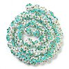 Handmade Lampwork Beads Strands LAMP-N021-015A-12-1