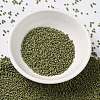 MIYUKI Round Rocailles Beads SEED-JP0010-RR2033-2