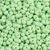 Baking Paint Glass Seed Beads X1-SEED-K010-A18-2