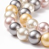 Shell Pearl Bead Strands BSHE-L017-17-7