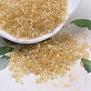 MIYUKI Delica Beads SEED-MY11-DB0100-1