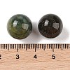 Natural Indian Agate No Hole Sphere Beads G-K353-04C-09-3
