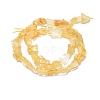 Raw Rough Natural Citrine Beads Strands G-I279-B17-2