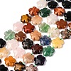 Mixed Natural Gemstone Flower Beads Strands G-L241B-07-5