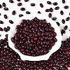 Glass Seed Beads SEED-T009-02D-1