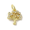Brass Micro Pave Cubic Zirconia Charms KK-M283-27D-01-1