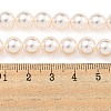 Glass Pearl Beads Strands HY-G002-01D-03-5