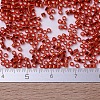MIYUKI Delica Beads X-SEED-J020-DB0043-4