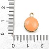 Hamburger Alloy Enamel Charms LS-ENAM-P264-01B-G-4