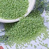 MIYUKI Round Rocailles Beads SEED-JP0008-RR0676-1