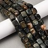 Natural Biotite Beads Strands G-B155-D05-1