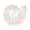 Handmade Foil Glass Beads FOIL-N029-09A-6