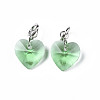 Faceted Transparent Glass Charms GLAA-T024-04G-2