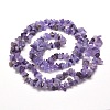 1 Strand Natural Amethyst Chip Bead Strands G-DJ0001-04-2