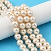 Preciosa® MAXIMA Crystal Nacre Pearls Y-PRC-NPA8-71000-1