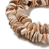 Natural Seashell Shell Beads Strands SSHEL-H072-06-3