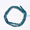 Faceted Rondelle Natural Apatite Bead Strands G-F289-48B-3
