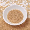 MIYUKI Delica Beads SEED-X0054-DB0852-2