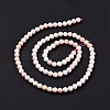 Natural Shell Beads SSHEL-G026-01A-4