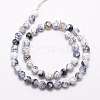 Natural Fire Crackle Agate Bead Strands X-G-K166-07F-8mm-02-2