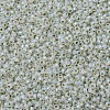 MIYUKI Round Rocailles Beads SEED-X0054-RR2353-2