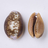 Natural Cowrie Shell Pendants SSHEL-N034-21-3