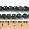 Natural Fuchsite Beads Strands G-G271-B03-8mm-5