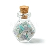 4Pcs Glass Wishing Bottle Decorations PALLOY-JF03100-2