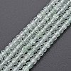 Crackle Glass Beads Strands GLAA-S192-B-006G-1