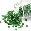 6/0 Round Silver Lined Round Hole Glass Seed Beads X-SEED-A005-4mm-27-1