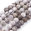Natural America Petrified Wood Beads Strands G-P430-03-D-2
