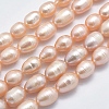 Natural Cultured Freshwater Pearl Beads Strands PEAR-F007-85A-01A-X-1