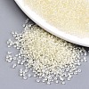 6/0 Glass Seed Beads SEED-A014-4mm-134-1