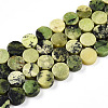 Natural Serpentine Beads Strands G-N346-06A-02-2