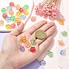 30Pcs 5 Colors Handmade Lampwork Charms PALLOY-CJ0002-66-4