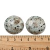 Natural Sesame Jasper Cabochons G-C115-02B-08-3